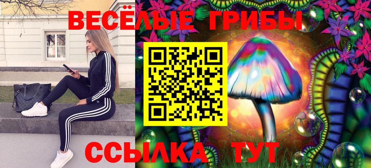 Киселёвск  Псилоцибиновые грибы GOLDEN TEACHER  Вход с VPN  Псилоцибиновые грибы мухоморы 