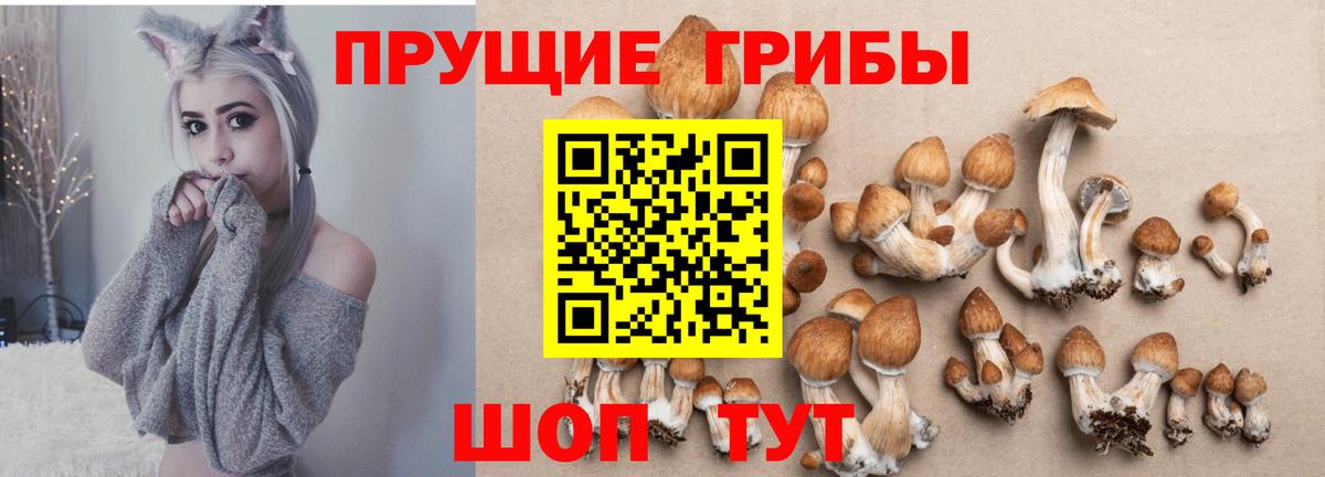 Галлюциногенные грибы GOLDEN TEACHER Киселёвск